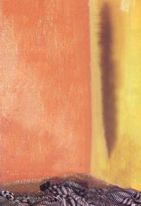 Koe29